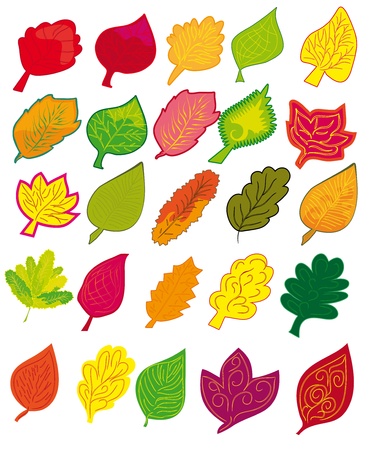 set of different abstract colorful leavesのイラスト素材