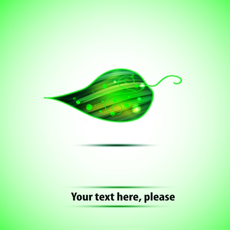 simbol of nature. Isolate green leaf. Eco emblem or icon  for your designのイラスト素材
