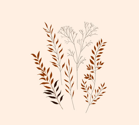 Elegant botanical illustration in earthy tones with composition autumn leaf and branches on a beige background. Ideal for autumn-themed designs, prints, wedding decor.のイラスト素材