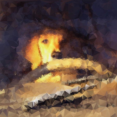 red dog in the car behind the wheel, waiting for the owner, guarding the car, looking, image from triangular polygonsのイラスト素材