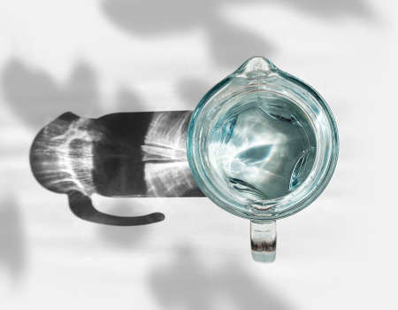 top view of a clean transparent glass decanter with water, glare from sunlight, hard shadow from a decanter on a white background, blurred shadow from branches with leavesの写真素材