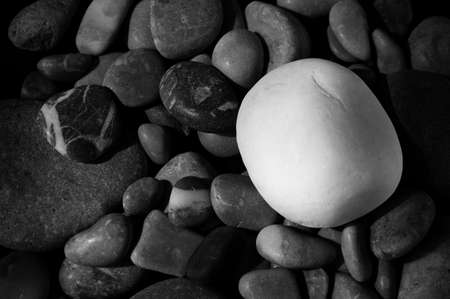 White stone on a background of black stones. Difference concept. Black and white contrastの写真素材