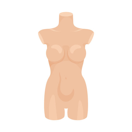 Female torso vector mannequin isolated on white background. Flat design template for clothes on a shop window. Tailoring equipment.のイラスト素材
