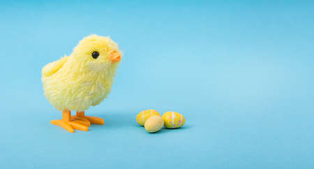 Yellow chicken with small yellow Easter eggs on a blue backgroundの写真素材