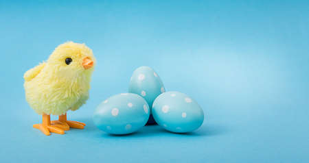 Blue Easter eggs with chicken on a blue backgroundの写真素材