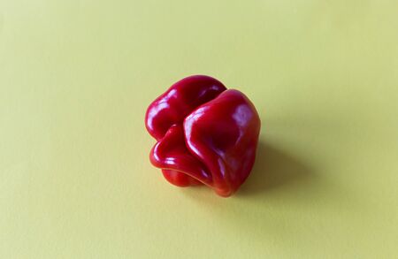 Ugly shapes of organic vegetables. Deformed homegrown bell peppers isolated on yellow background.の写真素材
