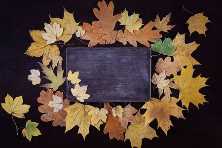 Autumn composition. Frame made of autumn dried leaves on dark wooden vintage background. Flat lay, copy space.の写真素材