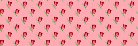 Seamless pattern of red Tulip on a pink background. Minimal concept, isometric texture of flowers.の写真素材
