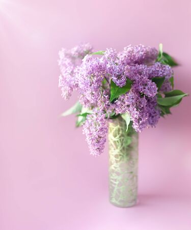 Bouquet of lilac in a vase on a pink background with a copy spaceの写真素材
