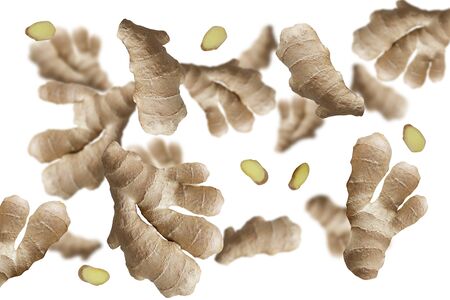 Falling ginger root isolated on white background w  package design element and advertising. Flying food. Top view.の写真素材