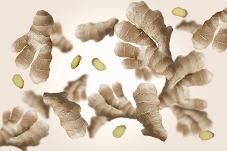 Falling ginger root isolated on a colored background   as package design element and advertising. Flying food. Top view.の写真素材