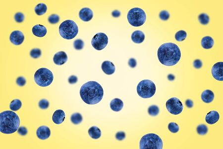 Falling blueberries  on a yellow background    as package design element and advertising. Flying berry.の写真素材
