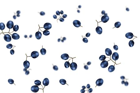Falling blue grapes isolated on a white background    as package design element and advertising. Flying vegetables. Top view.の写真素材
