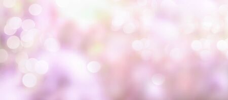 Blurred garden background with flowers with bokeh from sunlight, natural and light. Stray focus. Banner. Spring. Summer.の写真素材