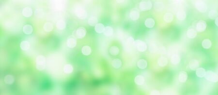 Blurred background in the park with bokeh from sunlight, natural and light. Stray focus. Banner.の写真素材