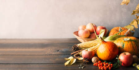 The concept of thanksgiving. Pumpkins, corn, apples, rowan, nuts and spices on a wooden background. Copy spaceの写真素材