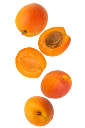 Falling apricots isolated on a white background   as package design element and advertisingの写真素材