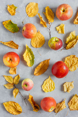 Apples and yellow dry leaves on a grey concrete background. Autumn pattern, texture. Top view, flat layの写真素材