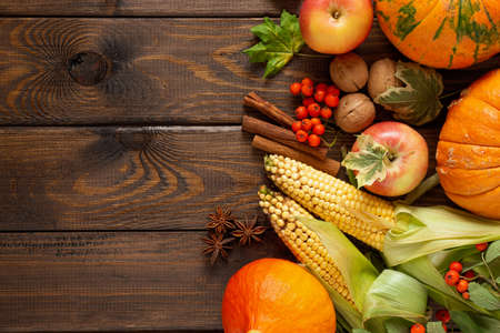 The concept of thanksgiving. Pumpkins, corn, apples, rowan, nuts and spices on a wooden background. Copy space.の写真素材