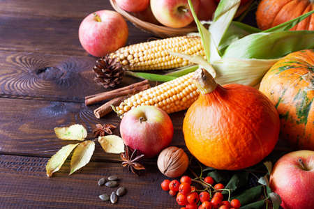 The concept of thanksgiving. Pumpkins, corn, apples, rowan, nuts and spices on a wooden background. Copy space.の写真素材