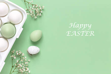 Easter eggs in a white holder and spring flowers on a green background.の写真素材