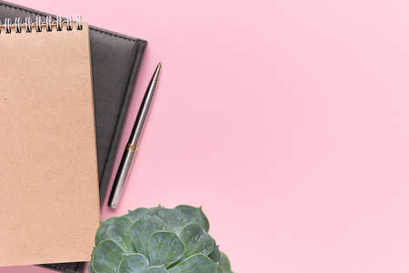 Notepads, a pen and a home flower on a pastel pink background with space for text. Feminine home office workspace. Flat lay, minimal concept, top view.の写真素材