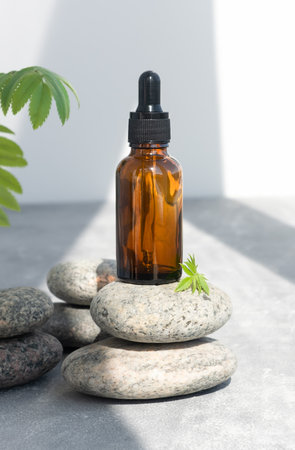Container of lotion, essential oil on gray stones. Natural SPA cosmetic products background. Layout of the beauty salon branding.の写真素材