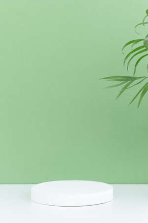 Pedestal podium on a white table, green background with palm tree leaves. Minimal abstract background for the presentation of a cosmetic product. Showcase, display case.の写真素材