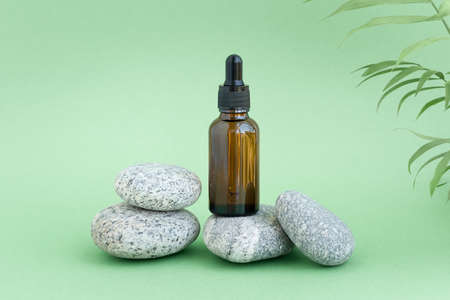 Container with lotion, serum or essential oil on gray stones on a green background with palm leaves. Background of natural SPA and beauty products.の写真素材