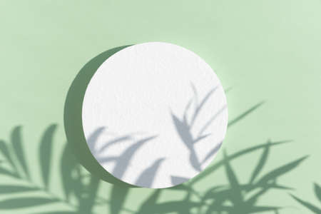 Abstract minimal scene with geometrical form. A cylindrical white podium on a pastel green background with a shadow of tropical palm leaves. Scene to show cosmetic podructs. Showcase, display case.の写真素材