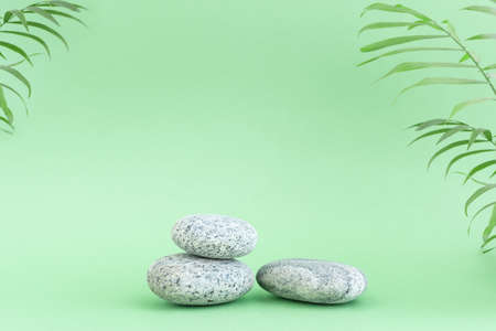 Podium, a pedestal made of gray stones on a green background with palm leaves. Showcase for product promotion, beauty, natural cosmetic. Abstract minimal elegant, studio scene.の写真素材