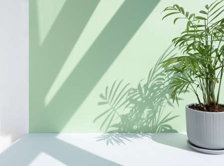 Decorative hamedorea or Areca palm in a modern flower pot on a gray table against a pastel green...