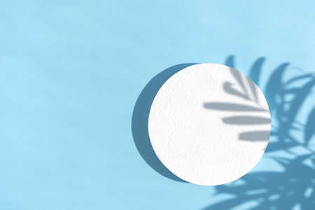 Abstract minimal scene with geometrical form. A cylindrical white podium on a pastel blue background with a shadow of tropical palm leaves. Scene to show cosmetic podructs. Showcase, display case.の写真素材