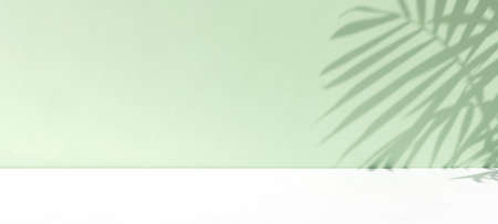 Minimal abstract background for the presentation of a cosmetic product. Premium podium with a shadow of tropical palm leaves on a pastel green wall and white table. Showcase, display case. Bannerの写真素材