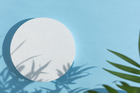 Abstract minimal scene with geometrical form. A cylindrical white podium on a pastel blue background with a shadow of tropical palm leaves. Scene to show cosmetic podructs. Showcase, display caseの写真素材