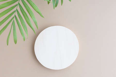 Abstract minimal scene of a geometrical form. A cylindrical wooden podium on a beige background with tropical palm leaves. Scene to show cosmetic podructs. Showcase, display caseの写真素材