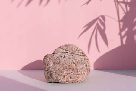 A podium made of stone on a gray table against a pink wall with a shadow from the leaves of a palm tree. Showcase for product promotion, beauty, natural eco cosmetic.の写真素材