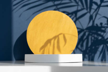 Minimal abstract blue and white background for eco cosmetic product presentation. Cylindrical white and golden scenes. Premium podium with a shadow of tropical palm leaves. Empty showcase.の写真素材