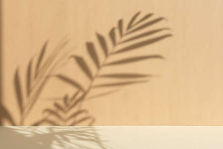 Minimal abstract background for the presentation of a cosmetic product. Premium podium with a shadow of tropical palm leaves on a beige background. Showcase, display case.の写真素材