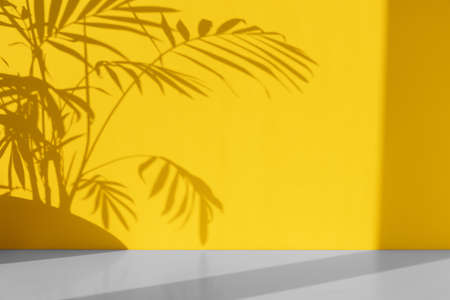 Minimal abstract background for the presentation of a cosmetic product. Premium podium with a shadow of tropical palm leaves on a yellow-gray background. Showcase, display case.の写真素材