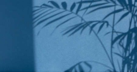 Aesthetic shadow of the palm leaves on a blue background. Background for advertising your product....