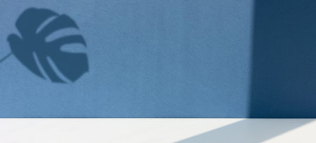 Minimal abstract blue-white background for eco cosmetic product presentation. Premium podium. Showcase, display case. Banner.の写真素材