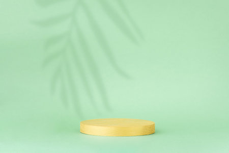 Minimal abstract background for the presentation of a cosmetic product. Golden scene on a green background with a shadow of tropical palm leaves. Premium podium, showcase, display case.の写真素材