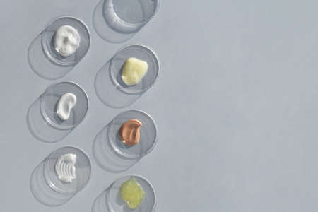 Multicolored texture of cream, scrub, serum, oil and hyaluronic acid in Petri dishes on a gray background. Concept of cosmetics laboratory researches. Smear of skincare cosmetics product.の写真素材