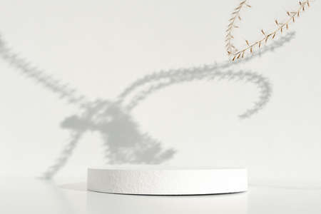 Abstract minimal scene of a geometrical form. A cylindrical white podium on a white background with a shadow of pampas grass. Scene to show cosmetic products. Show case, display case.の写真素材