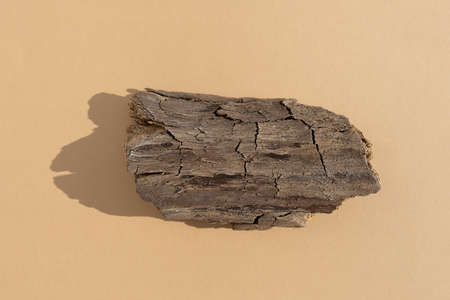 Abstract minimal tree bark scene. Natural wooden podium on beige background. Concept natural cosmetics with organic components. Show case, display case.の写真素材