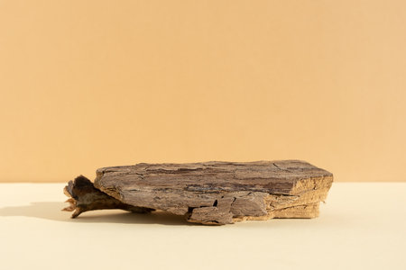 Abstract minimal tree bark scene. Natural wooden podium on beige background. Concept natural cosmetics with organic components. Show case, display case.の写真素材
