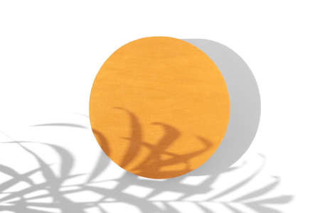 Abstract minimal scene of a geometrical form. A cylindrical golden podium on a white background with a shadow of tropical palm leaves. Scene to show cosmetic products. Show case, display case.の写真素材