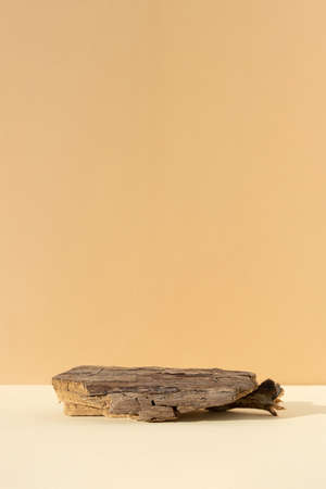 Abstract minimal tree bark scene. Natural wooden podium on beige background. Concept natural cosmetics with organic components. Show case, display case.の写真素材