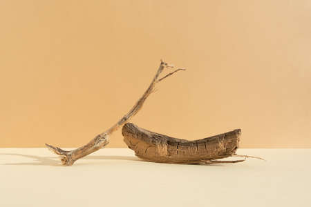 Abstract minimalistic scene made of dry tree branches. Natural wooden podium on beige background. Concept natural cosmetics with organic components. Show case, display case.の写真素材